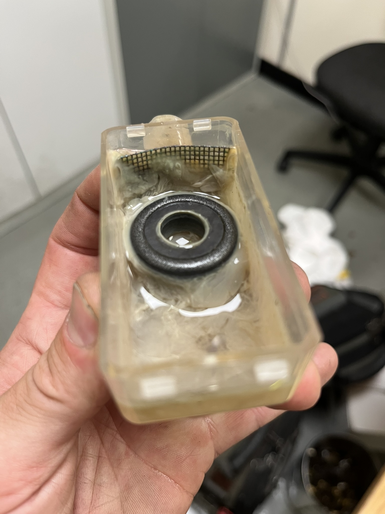 Close-up of biological contamination and sludge inside an air conditioning condensate pump reservoir