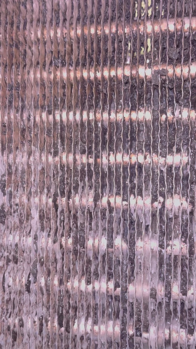 Dirty cellar cooler evaporator coil before deep cleaning